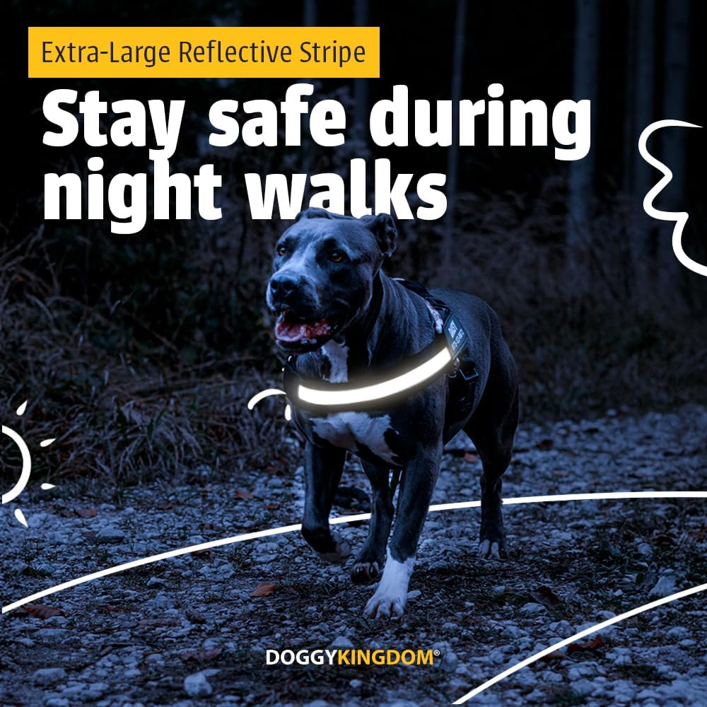 Doggykingdom nylon dog harness with 3M reflective straps close up view