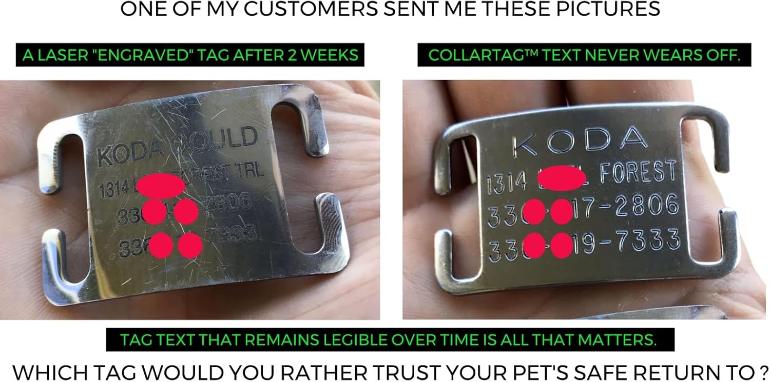 Surgical grade stainless steel pet nameplate close up view.