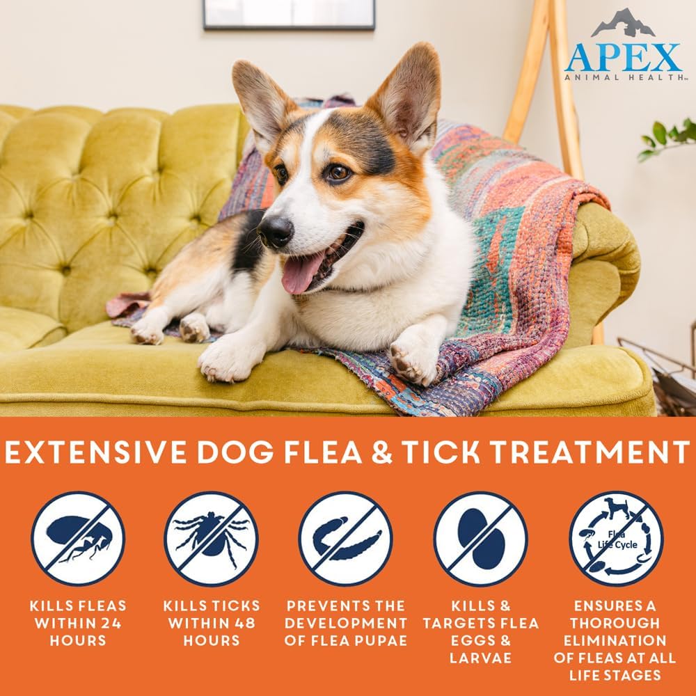 Apex Plus topical small dog flea treatment applicator tubes three count supply