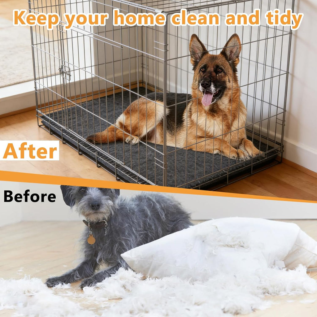 Medium dog sitting comfortably on AIHSUMC crate liner