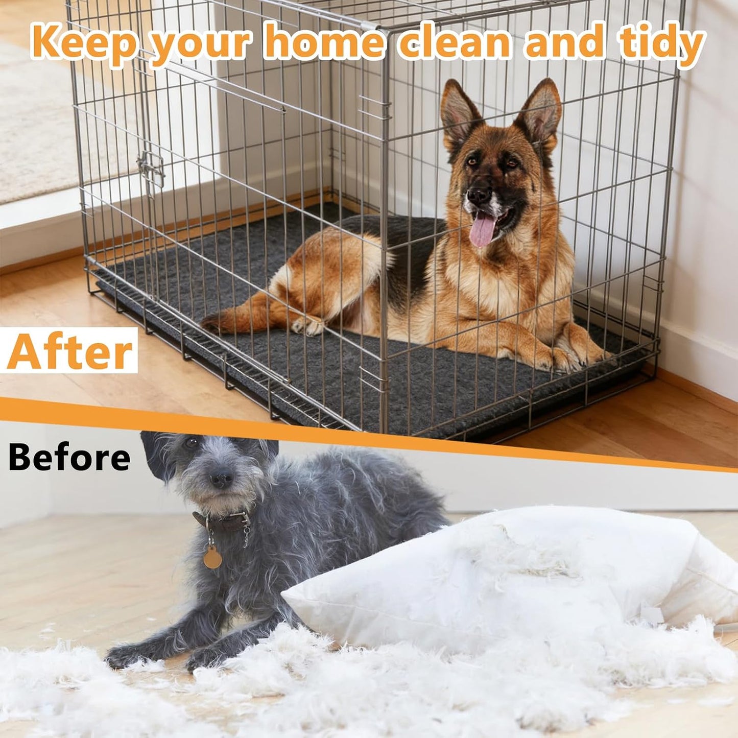 Medium dog sitting comfortably on AIHSUMC crate liner