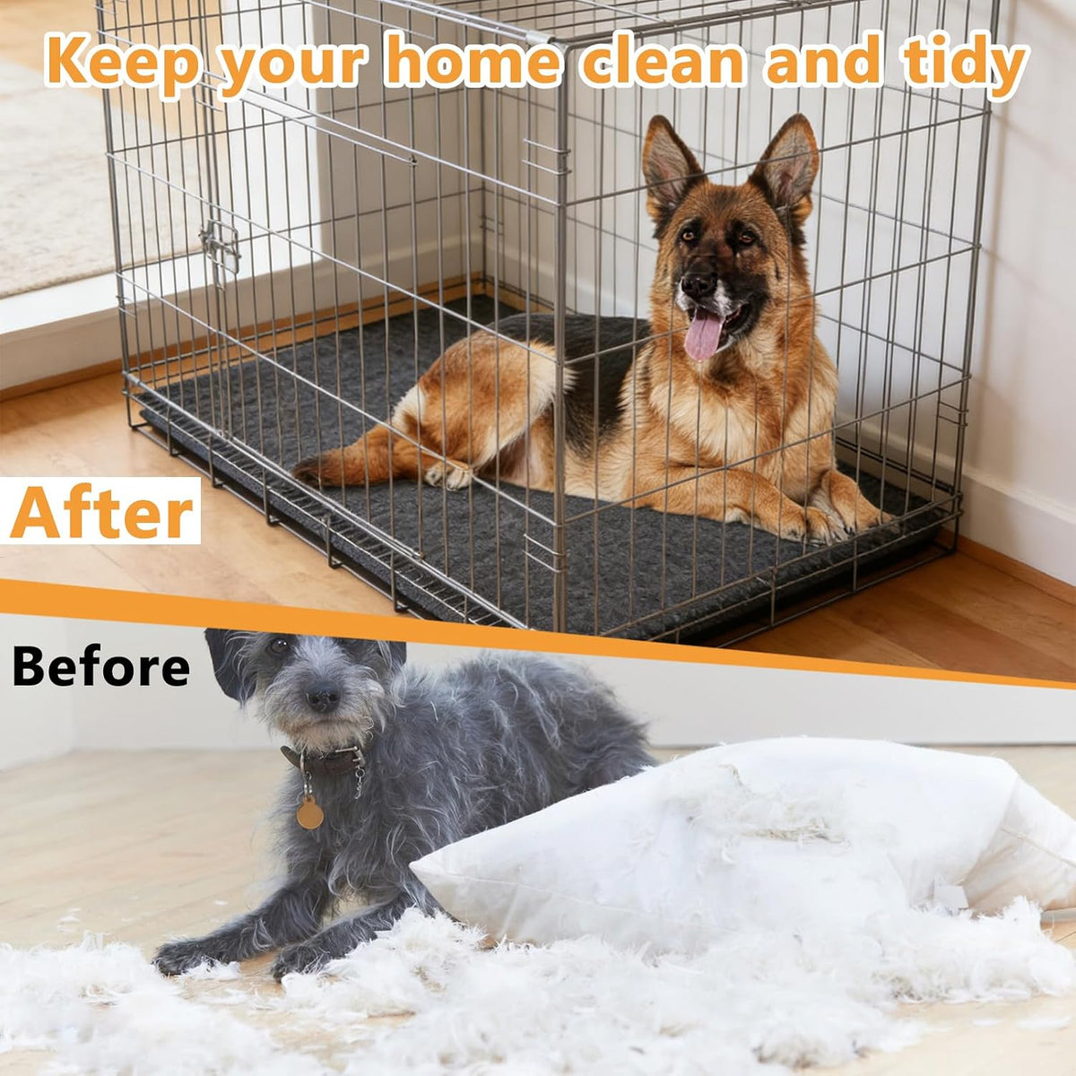 Medium dog sitting comfortably on AIHSUMC crate liner