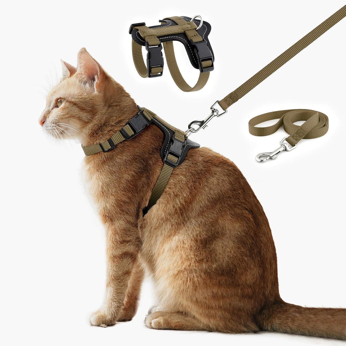 Plutus Pet adjustable cat harness and leash set front view