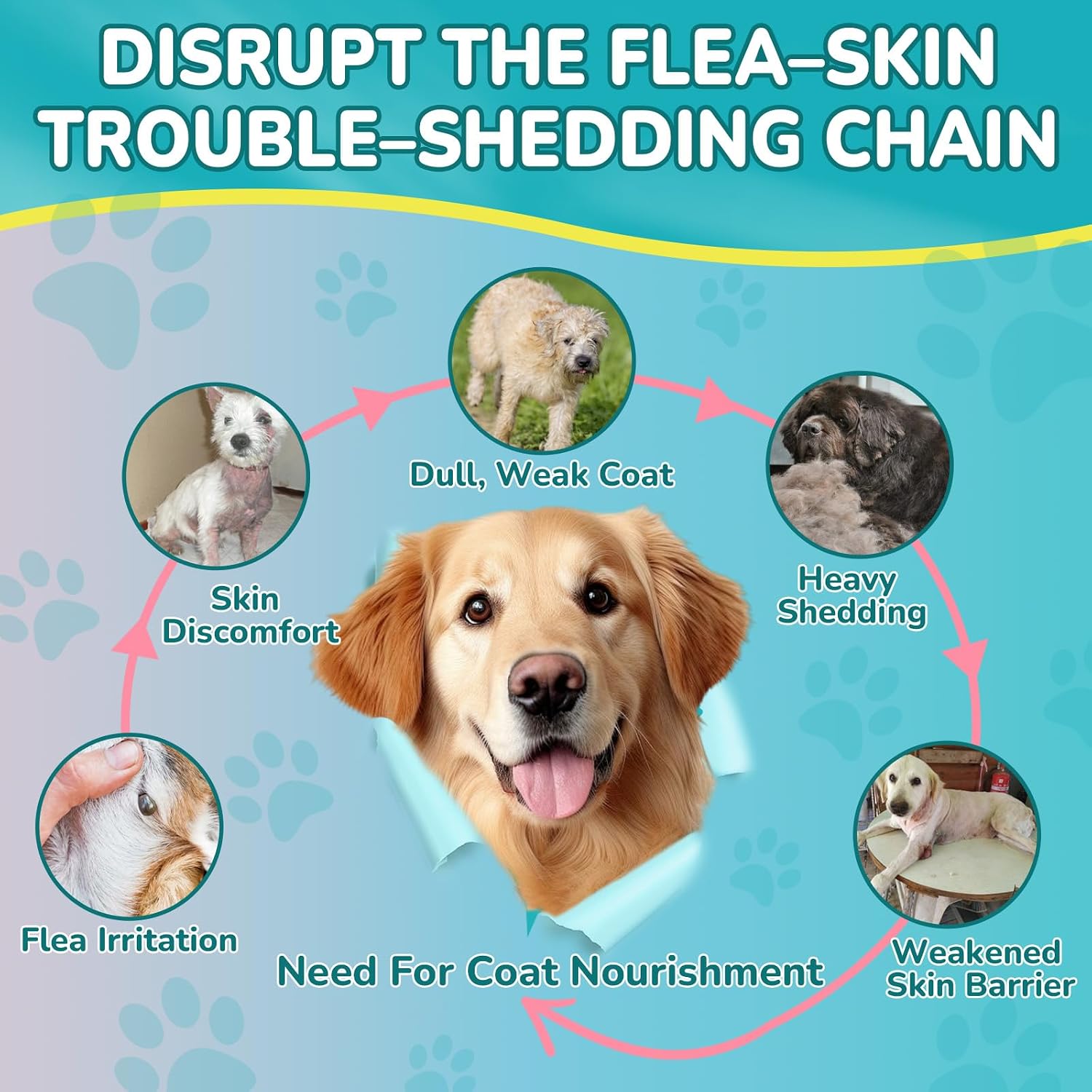 Natural dog flea treatment chewable for reduced itch and shedding