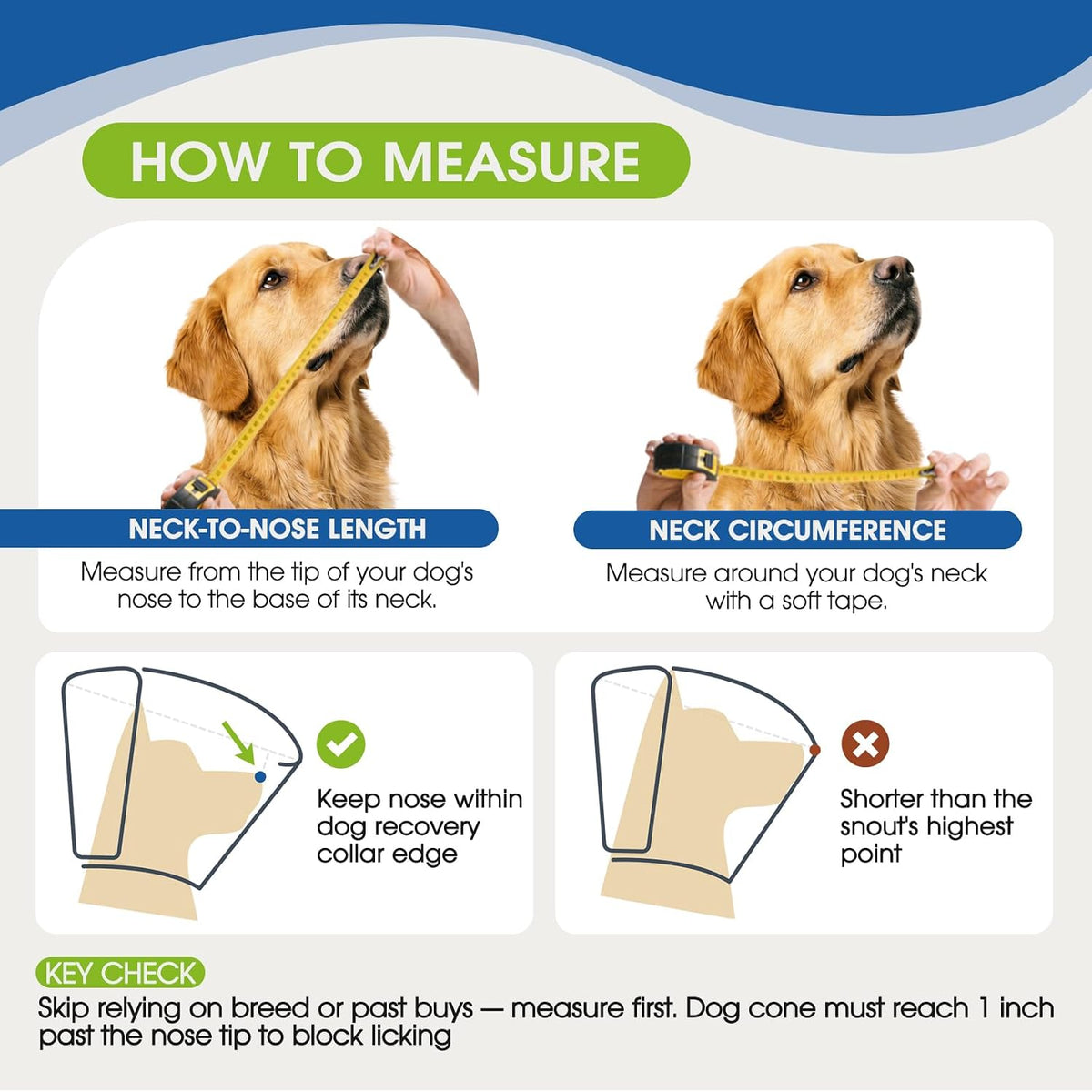Adjustable buckle detail on letsqk blue dog e-collar