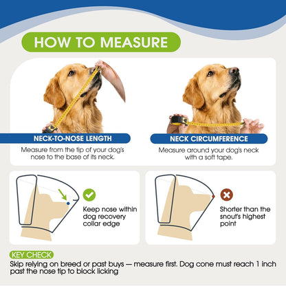 Adjustable buckle detail on letsqk blue dog e-collar
