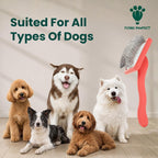 Comparison of the long pin brush next to standard pet slicker brushes