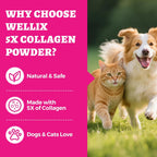 Close up of Wellix collagen powder texture and formula