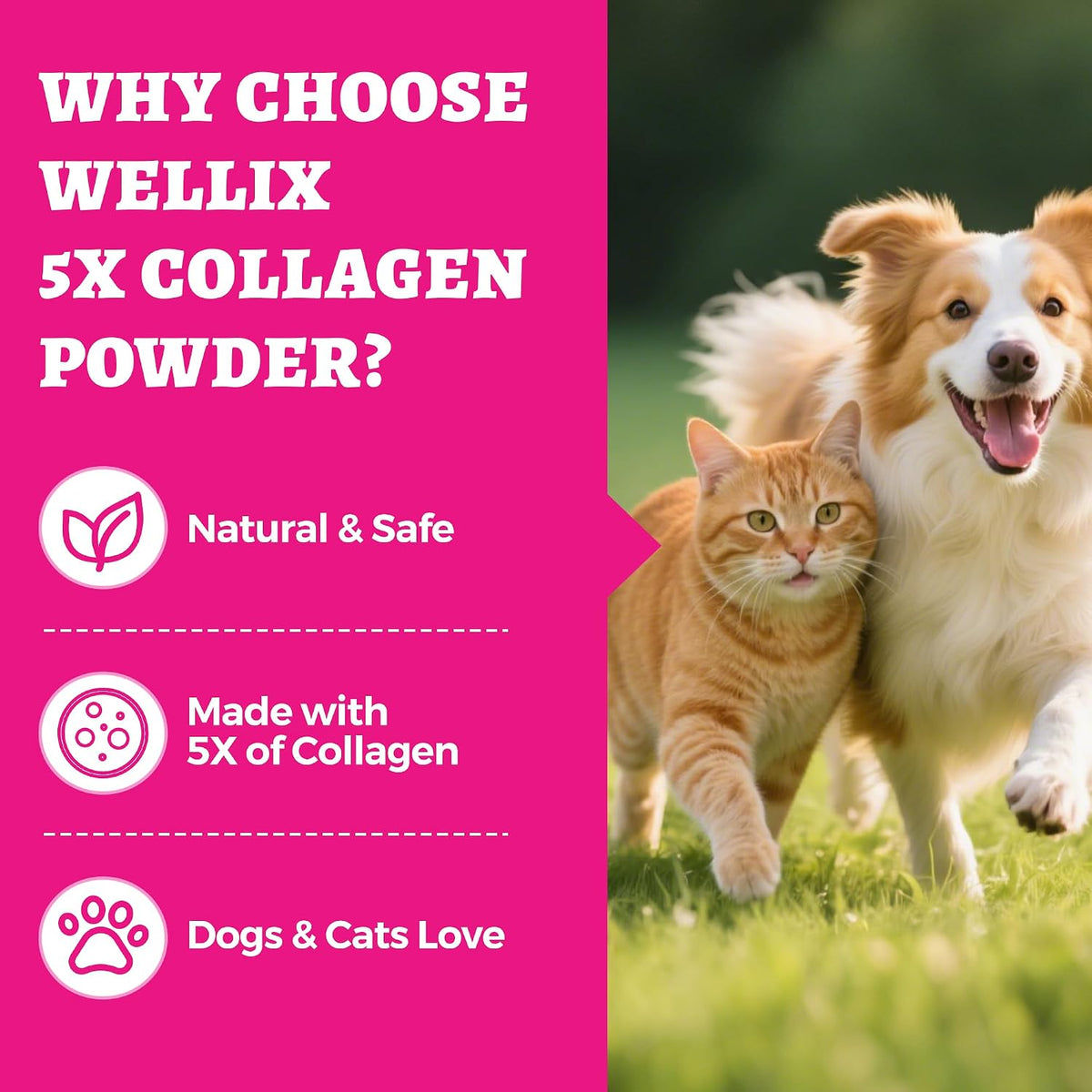 Close up of Wellix collagen powder texture and formula