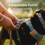Ruffwear harness internal mesh lining and foam padding detail