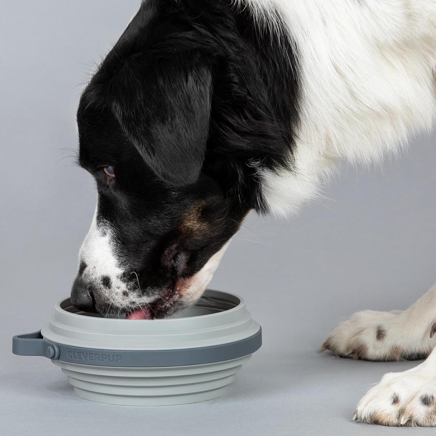 Cleverpup Nomad grey four cup large breed dog bowl highlighting the built in splash guard rim
