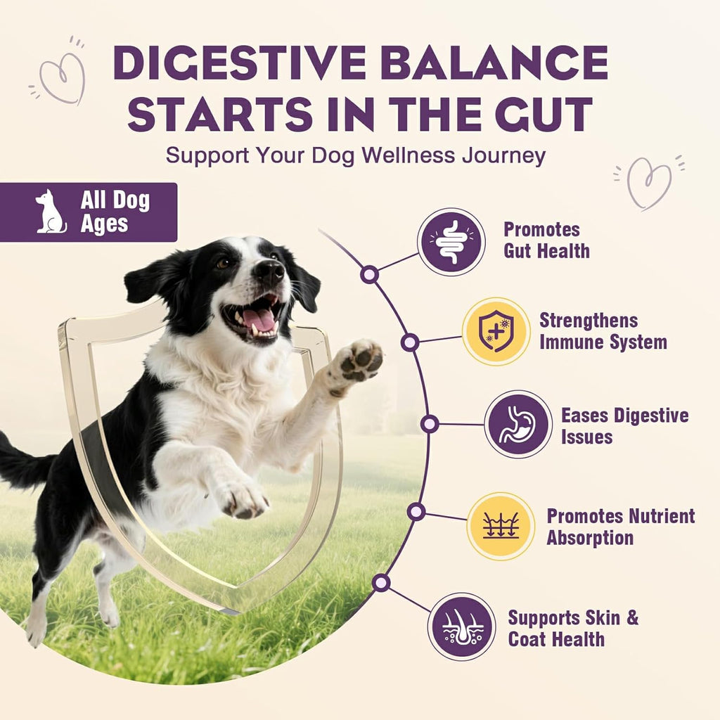 TTLXRL dog probiotic soft chews supplement bottle