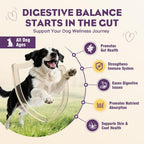 TTLXRL dog probiotic soft chews supplement bottle
