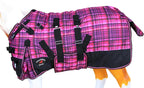 Challenger waterproof foal turnout rug side view