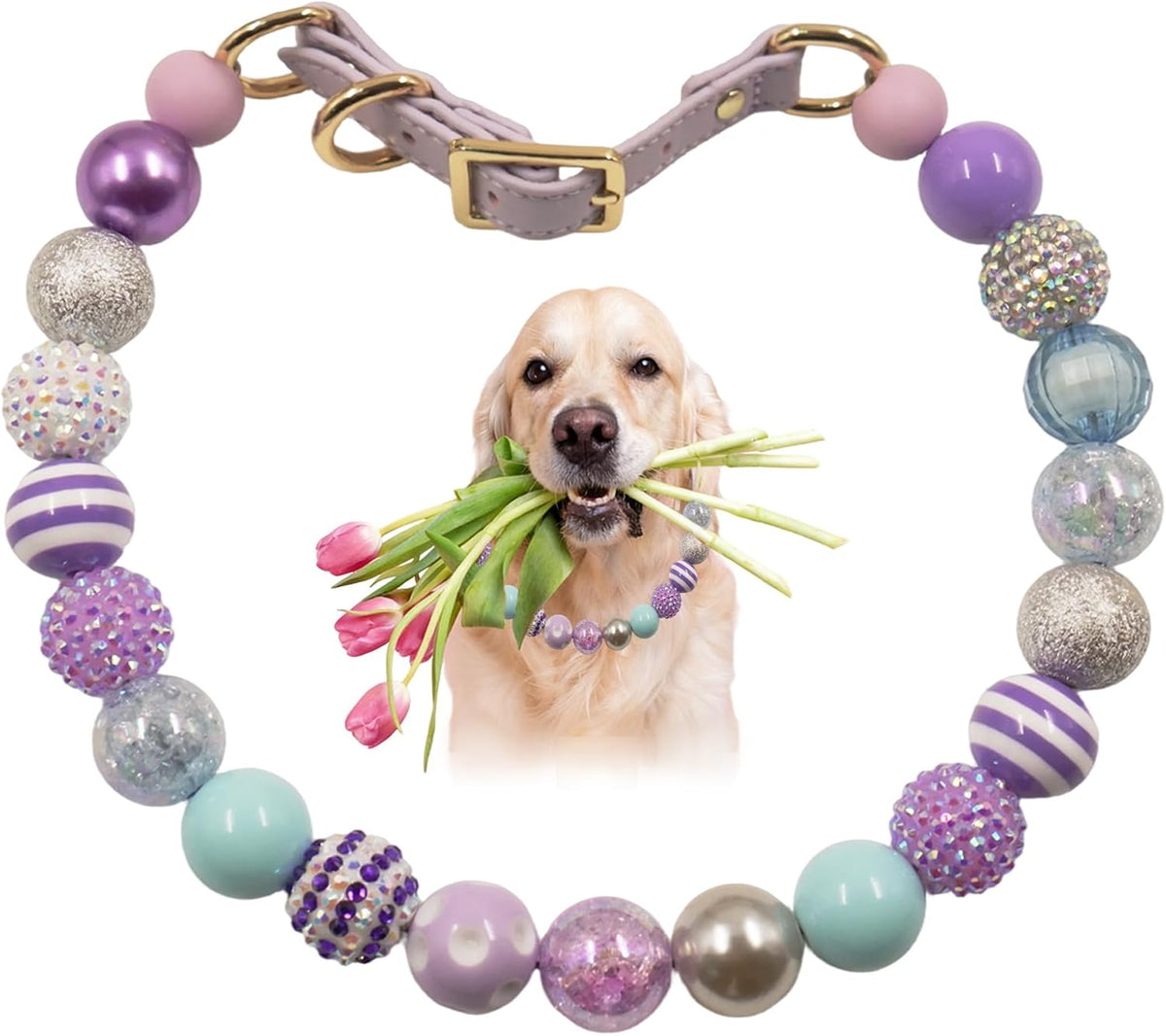 Full packaging view of the imported PGEOIDT pet fashion accessory collection.