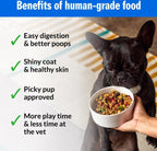 Top view of PetPlate fresh dog food cup