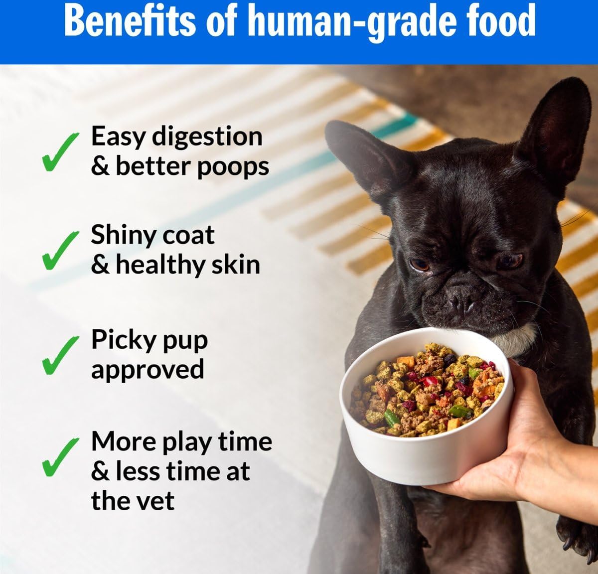 Top view of PetPlate fresh dog food cup