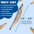 Premium quality wild caught minnows size comparison layout