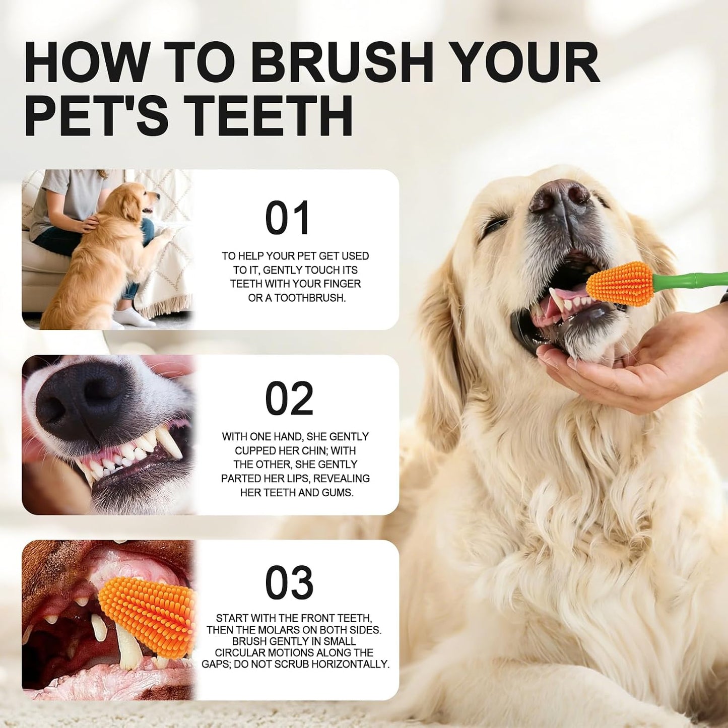 Angle of Histotree 360 degree brush inside dog mouth