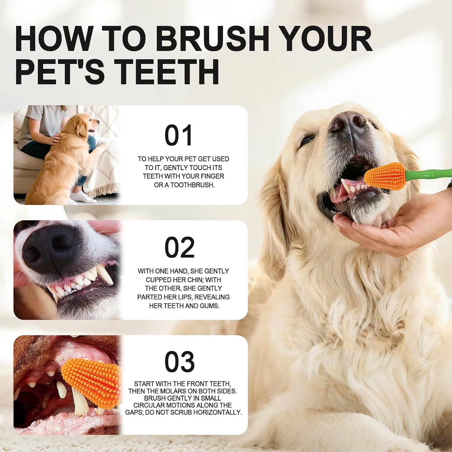 Angle of Histotree 360 degree brush inside dog mouth