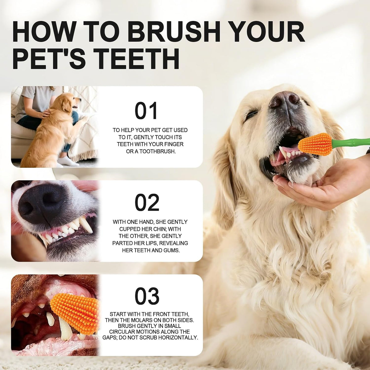 Angle of Histotree 360 degree brush inside dog mouth