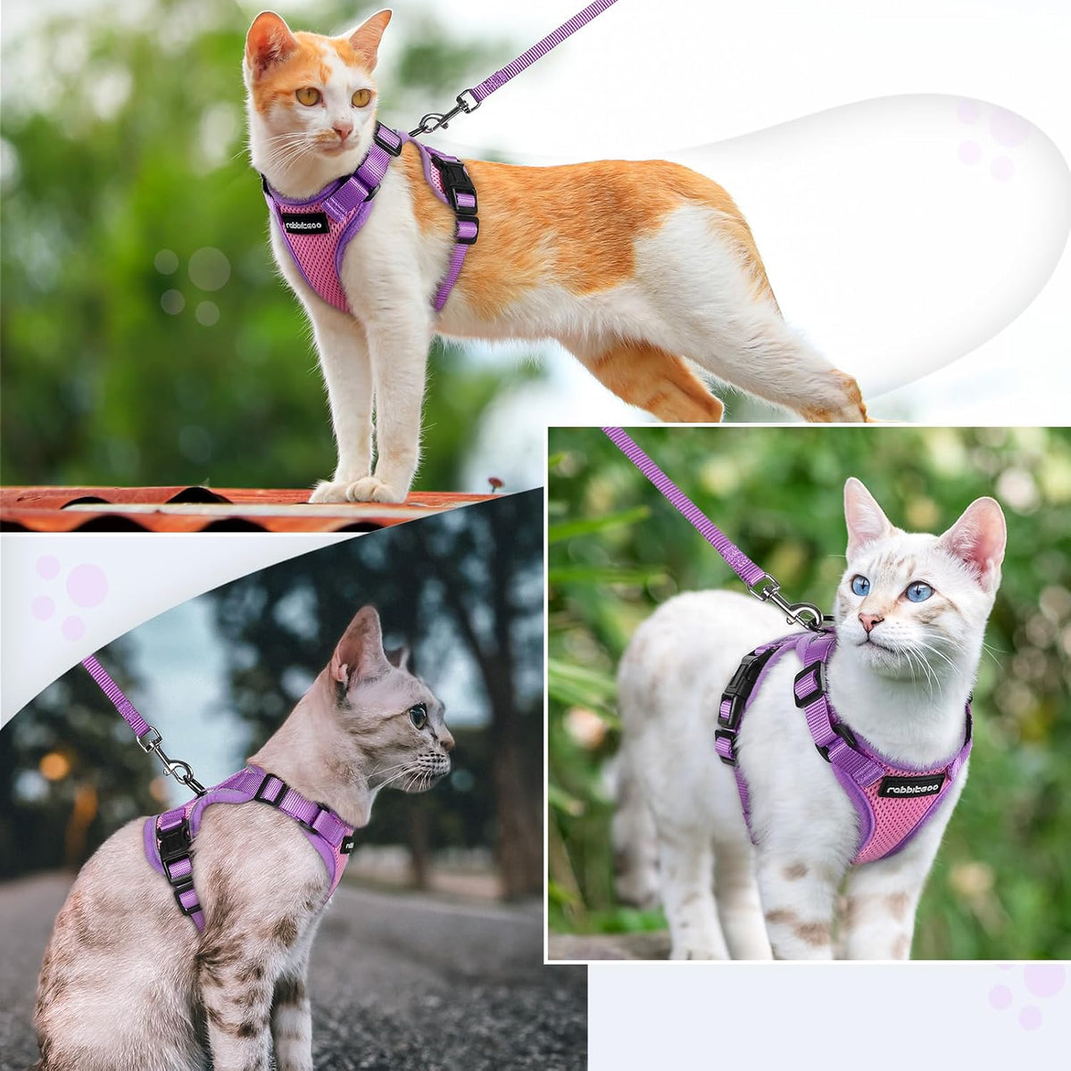 Rabbitgoo reflective outdoor cat walking harness and leash bundle X Small size