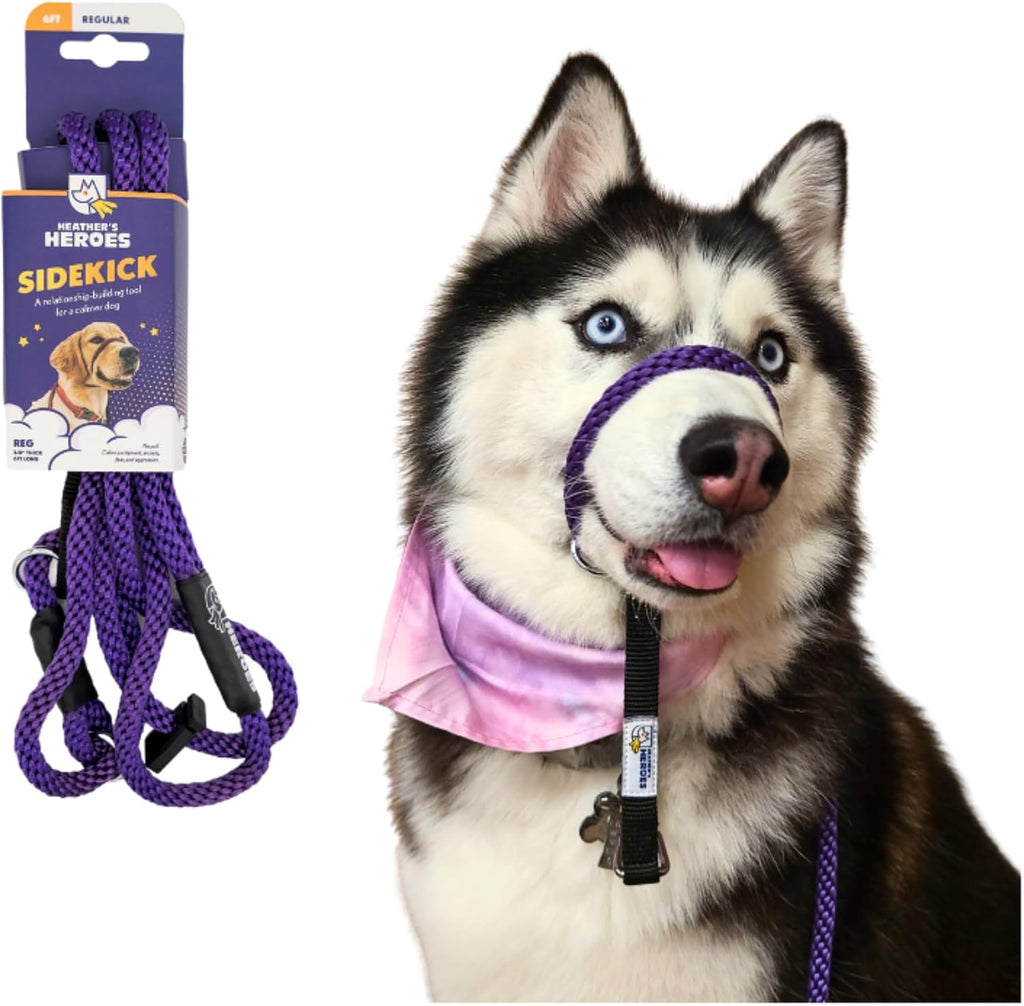 Authentic Heather's Heroes Sidekick training tool package