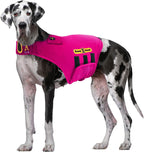 CozyVest(R) Dog Anxiety Vest 3-in-1 Music & Aromatherapy Shirt, Relaxing Sound & Essential Oil Scent Jacket, Fireworks Thunder Separation & Thunderstorm Canine Stress Relief Coat (Gray, XL [65-110 Lbs]) - Image 13