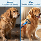Full 4-piece Neyakopaw pet grooming set blue and black