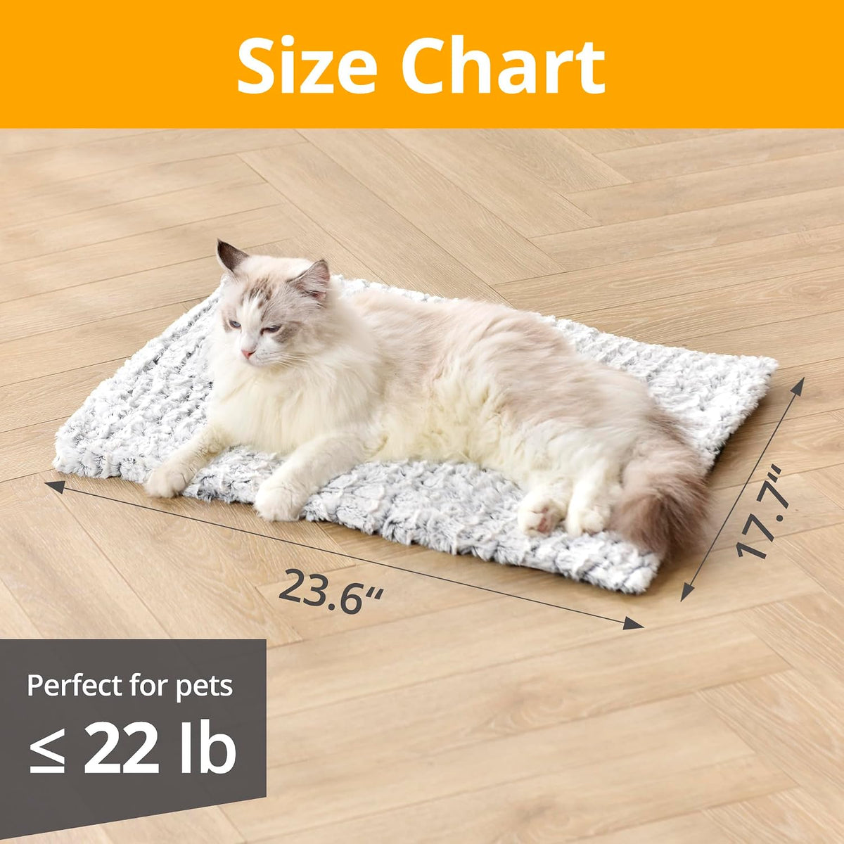 Golden British Shorthair cat resting comfortably on a plush white pet bed