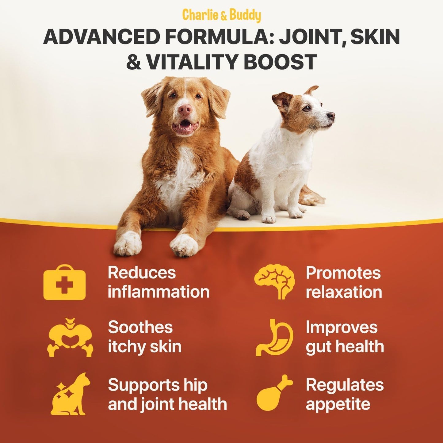 Natural pet oil supplement highlighting Omega 3 6 9 fatty acids and Vitamin E ingredients