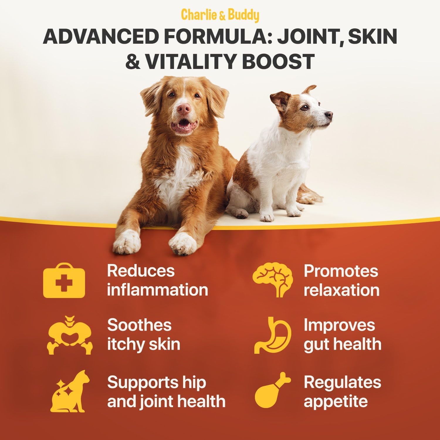 Natural pet oil supplement highlighting Omega 3 6 9 fatty acids and Vitamin E ingredients