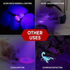 GearLight UV torch detecting scorpions and outdoor pests during camping