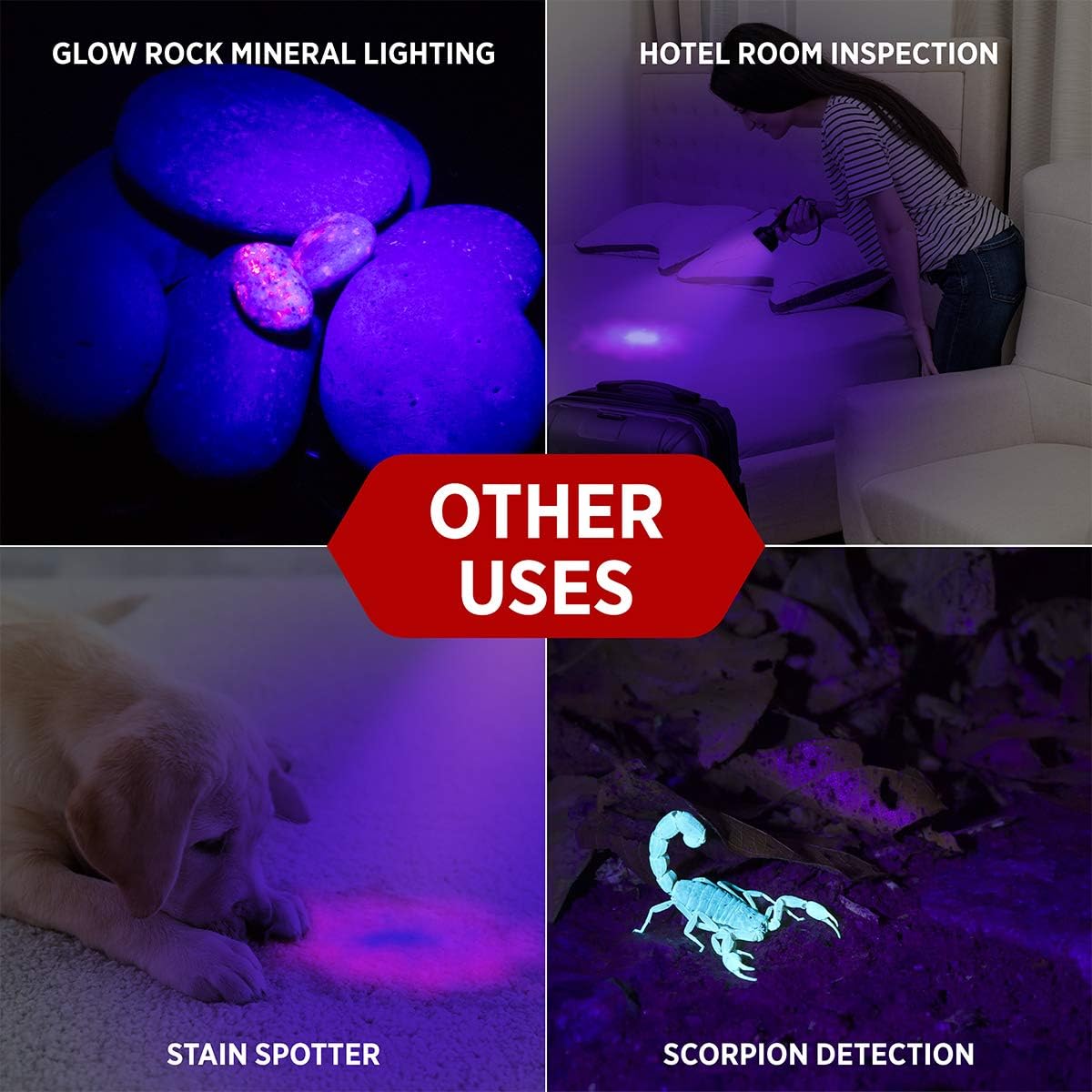 GearLight UV torch detecting scorpions and outdoor pests during camping