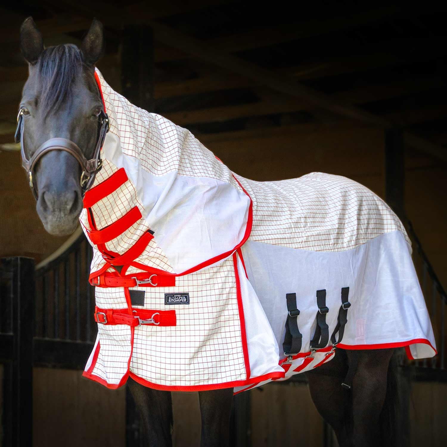 Jeffers Romper Stomper sweet itch fly sheet front view on horse.