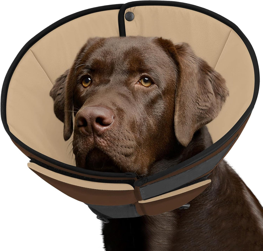 Queenmore Dog Cone XL, Soft Dog Cones for Large Dogs After Surgery, Cone for Dogs to Stop Licking, Elizabethan Collar for Pet, Alternative to Recovery Collar for Large Breeds, Blue XL - Image 14