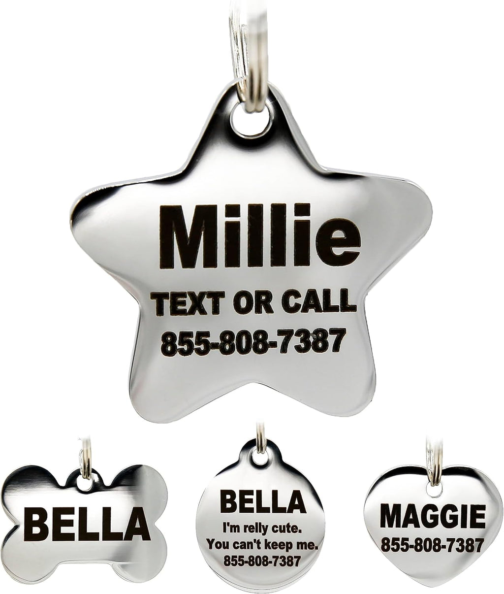 PetANTastic rust proof round personalized identity tag for domestic cats.