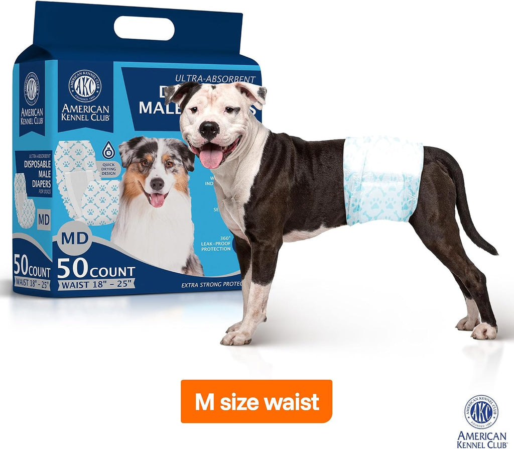 Medium size male dog diaper wrap displaying the color changing wetness indicator strip