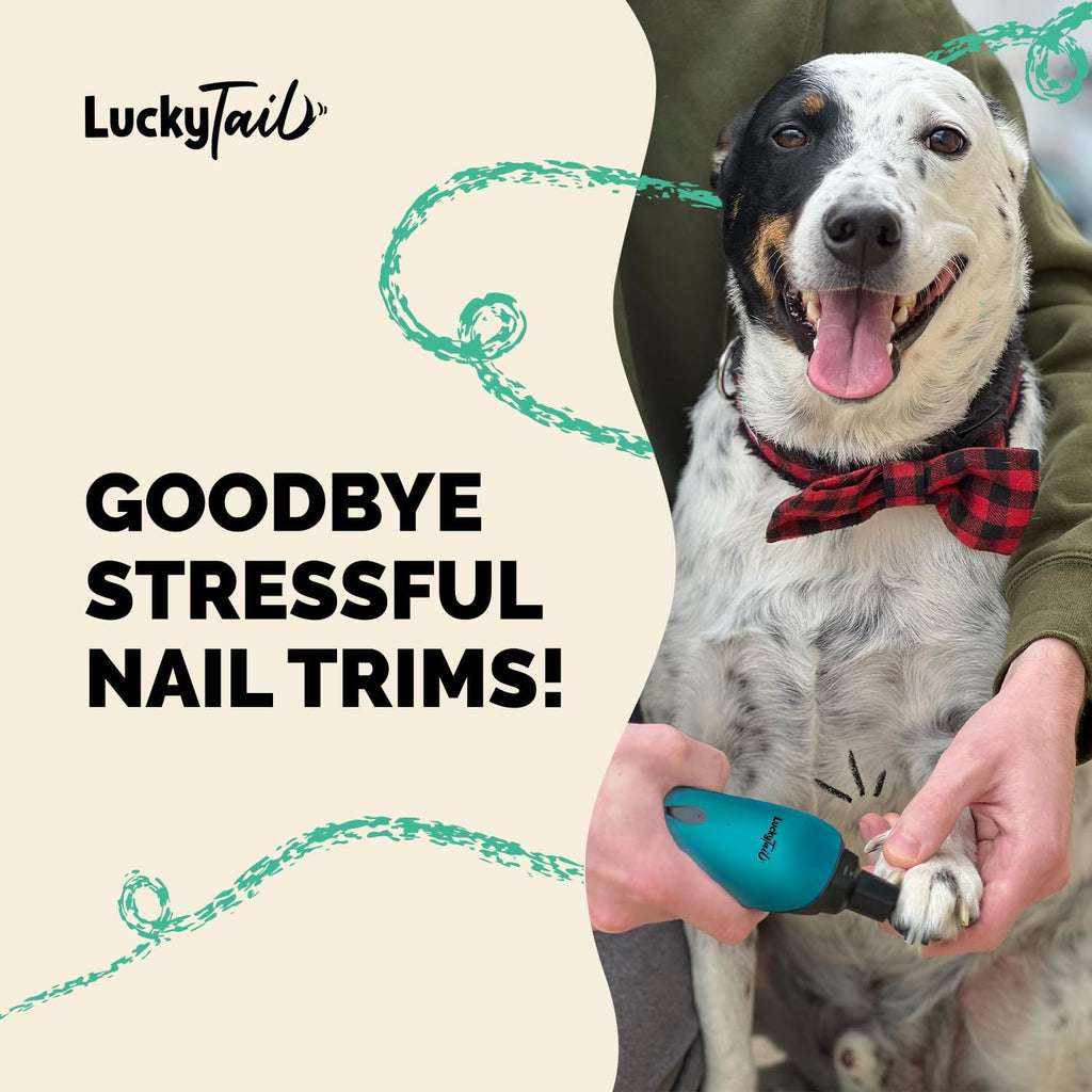 Close up of LuckyTail cordless pet nail trimmer diamond bit grinder head highlighting the safety guard.