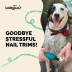 Close up of LuckyTail cordless pet nail trimmer diamond bit grinder head highlighting the safety guard.