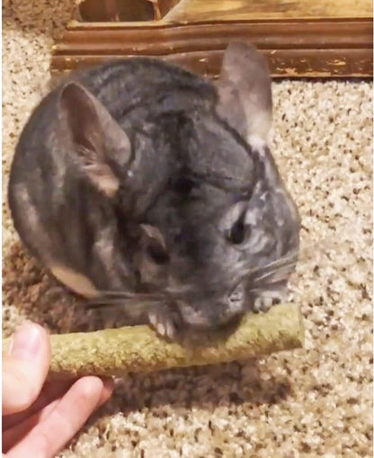 Exotic Nutrition premium imported USA pet supply oat hay treat sticks