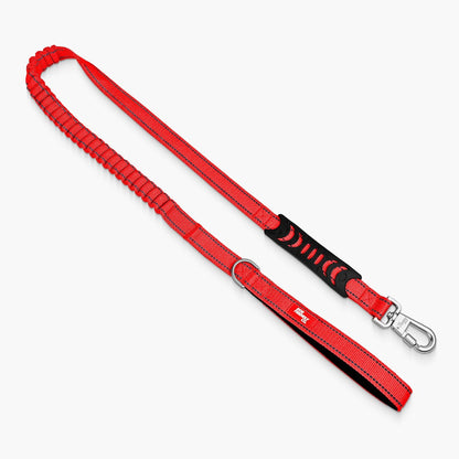Dog Friendly Co. Bungee Dog Leash | Strain Free & Shock Resistant for Control | Neoprene Padded Handle, Heavy-Duty Carabiner Clip, and D-Ring | Khaki, Size Regular - Image 14