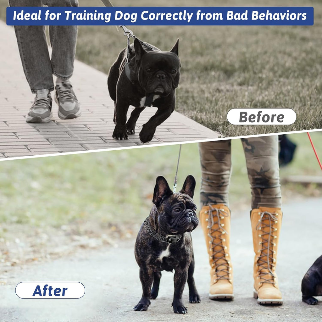 High quality stainless steel prong links on dog behavior training collar