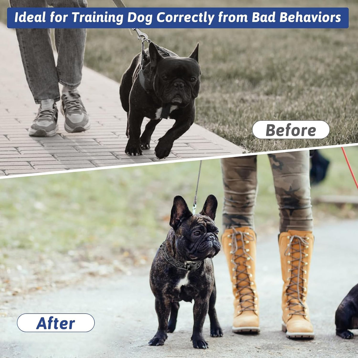 High quality stainless steel prong links on dog behavior training collar