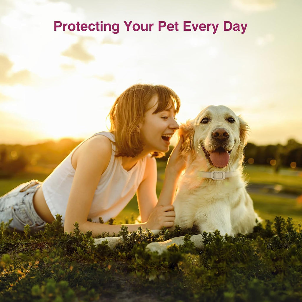 Waterproof silicone material of Allyeah tick collar