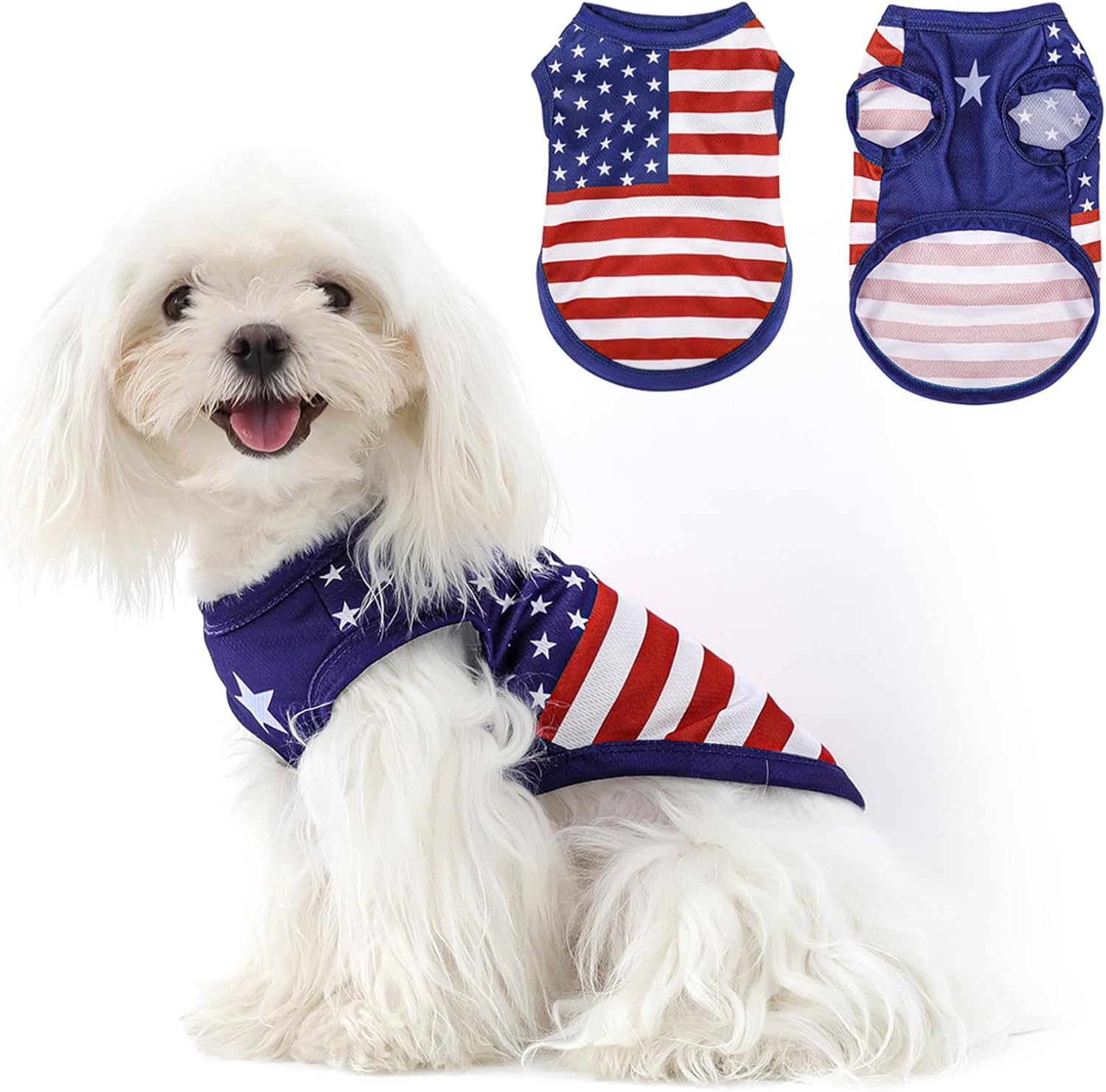 Small dog wearing patriotic American flag stars and stripes vest