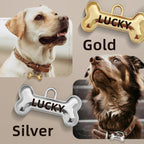 Three dimensional raised edge brass pet identification accessory for dogs.