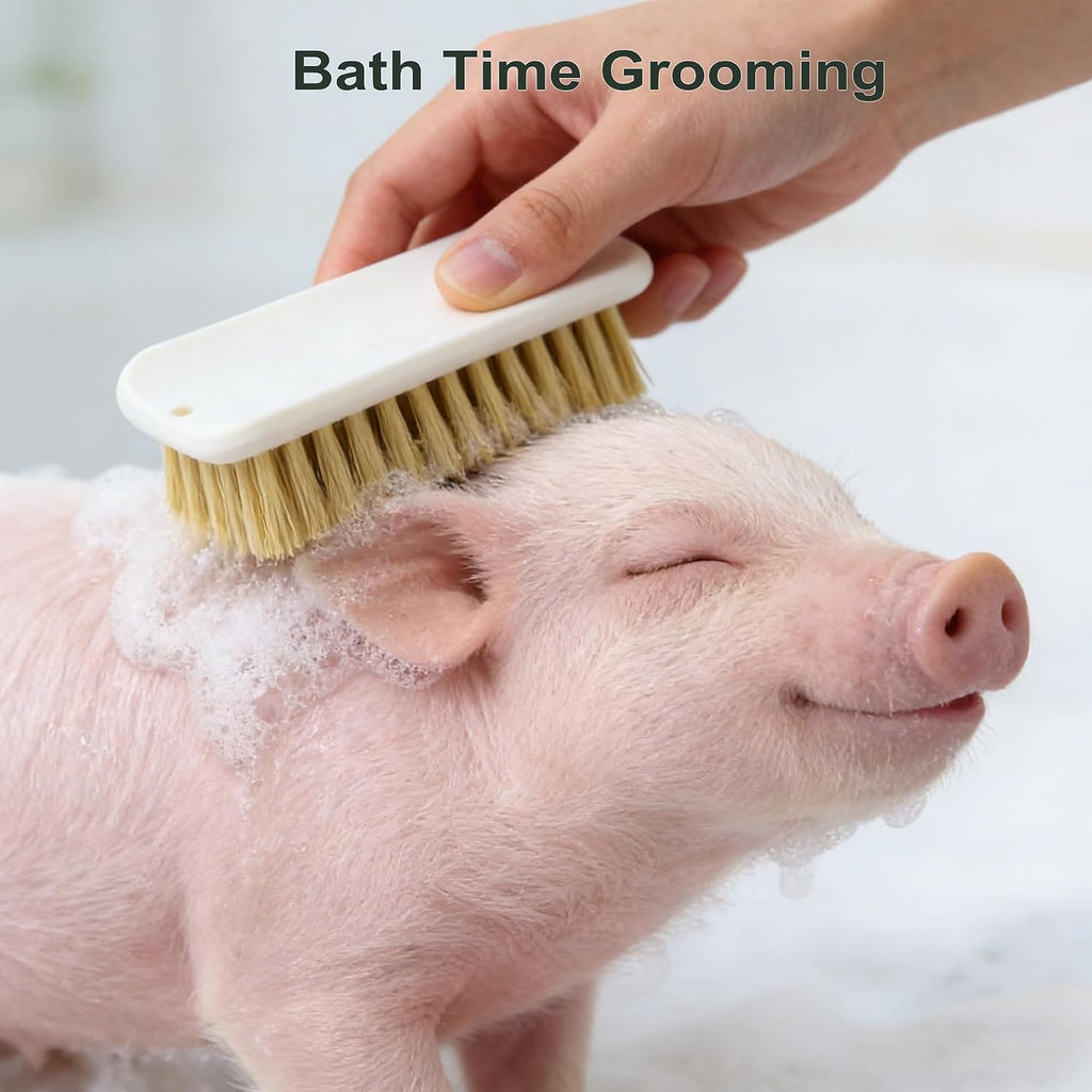 Demonstration of the self grooming mountable scratching brush attached to a wooden fence post.