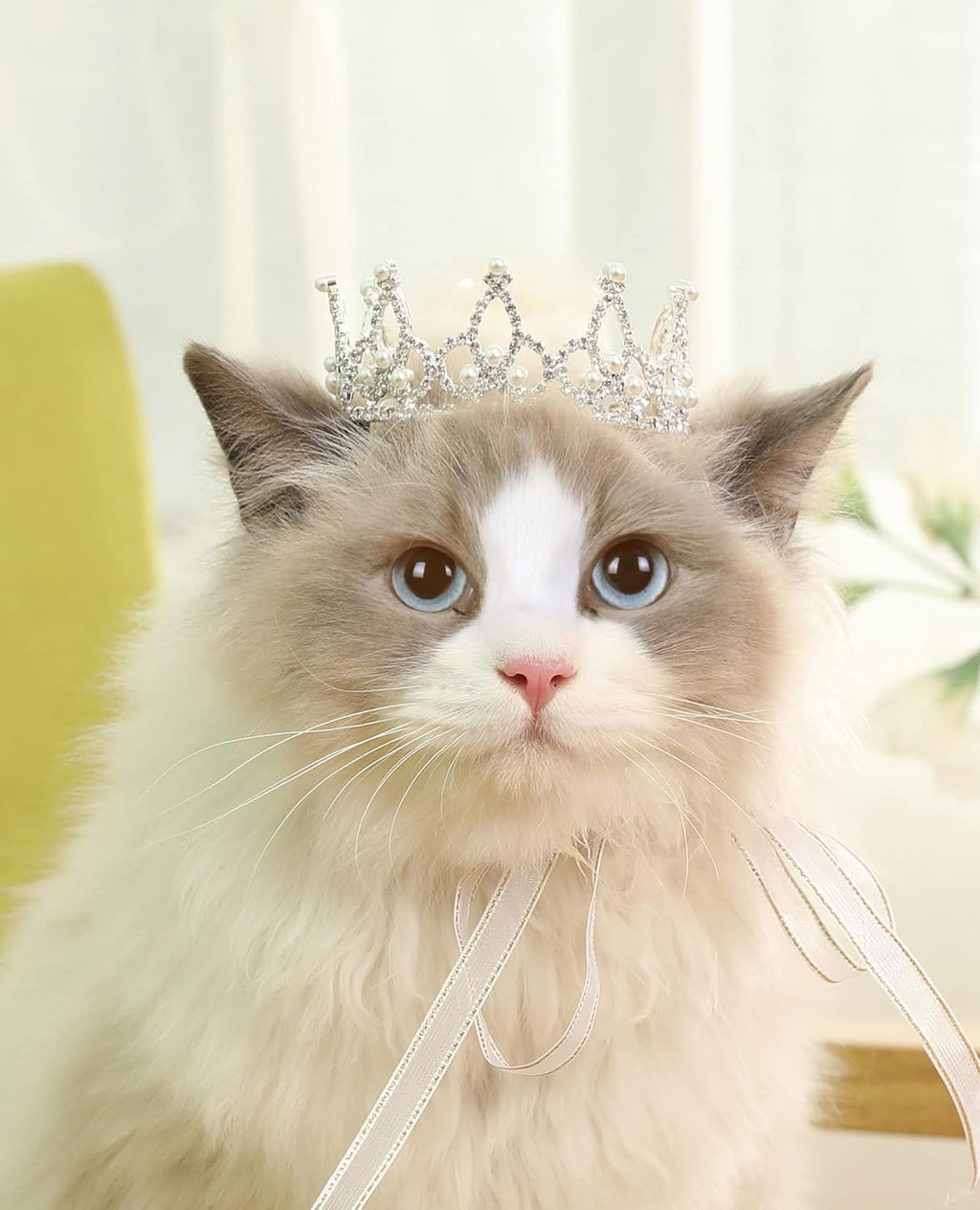 Lovelyshop Pet Series Silver Plated Royal Rhinestone Pearl Full Round Dog/Cat Crown for Rolyal Family Costume Hair Accessories-XSmall Size - Image 12
