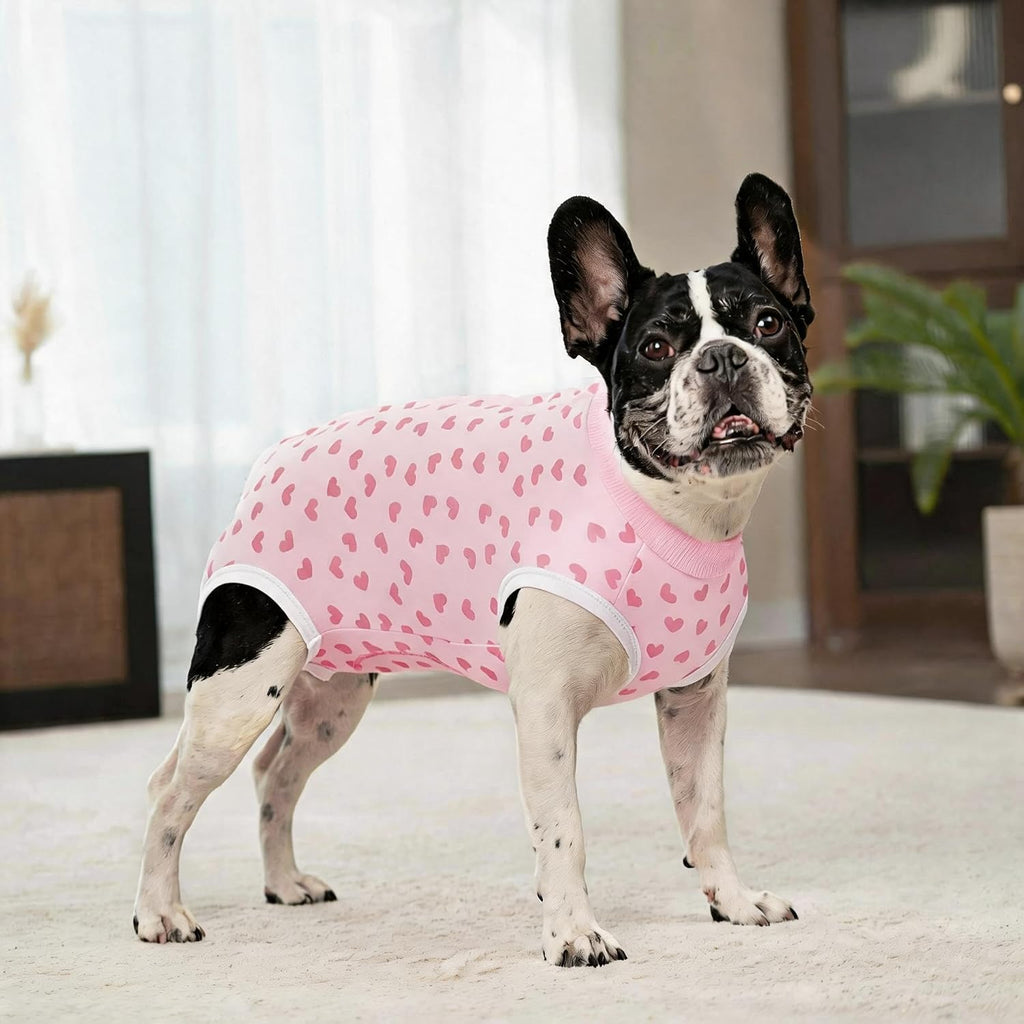 Miaododo post surgery pet suit twin pack close up on back buttons
